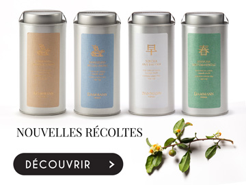 Nouvelles récoltes 2019